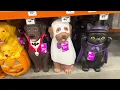 Home Depot Halloween 2026 In store tabletops and lighting