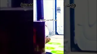 وين الطيبة راحت منا 