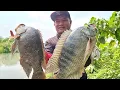 Download Lagu Keberuntungan Pemancing bisa Mancing di spot ini ikan Nila nya Babon Besar semua