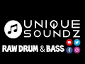 Download Lagu *π*RAW DRUM \u0026 BASS*π* ROLLERS MIX 2020 - DJ PULLEM