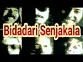 Lagu BIDADARI SENJA KALA [] Membuat Ku Rindu [] - Iwan Fals Album Group DALBO