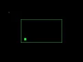 Point Vector2 Collisions VS Border Rectangle 2D Raylib Go