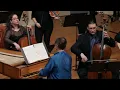Vivaldi: Cello Concerto in D Minor RV 407 (Full); William Skeen, baroque cello, Voices of Music 4K