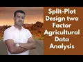 How to analyzed Split-plot design two factor Agricultural data