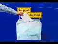 Download Lagu Lokalni izbori u Zaječaru i Kosjeriću. Pobednikov početak poraza. | ep377deo02