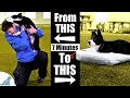 Teach Your Puppy To Calm Down With This 7 Minute Exercise
