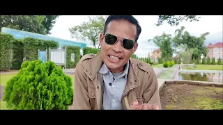 ထူးချွန်တဲ့အနုပညာရှင်တွေကို တန်ဘိုးထားတတ်စေချင်။ 