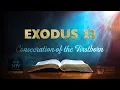 The Book of Exodus Chapter 13 Consecration of the Firstborn NIV Bible
