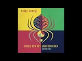 Tugce Kurtis - Yıldızların Altında (Acid Pauli Remix)