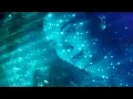Download Lagu Deftones - Sextape [Official Music Video]