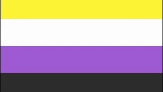 Non-Binary Flag Meaning