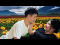 Download Lagu Een zoete kus na een hernieuwde ontmoeting - Zullen Thanh en Isa rust vinden na de storm?