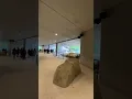 Download Lagu 🦁 Nieuw leeuwenverblijf in ARTIS