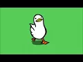 Download Lagu Duck Goes For A Walk 10h