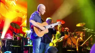 אבי סינגולדה בסולו קצרצר היא לא יודעת מה עובר עליי 