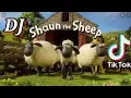 TIK TOK VIRALL 😍 DJ SHAUN THE SHEEP