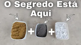 Os Fabricantes de Tijolos Não querem que você saiba Disso.