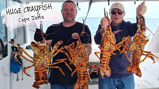 E109 – CRAYFISH HUNTING at Cape Jaffa: Huge Huge Crayfish!