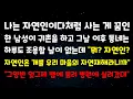Download Lagu 나는 자연인이다처럼 사는 게 꿈인 한 남성이 귀촌을 하고 그날 이후 동네는 하루도 조용할 날이 없는데 \