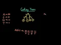 Advanced Data Structures Coding Trees