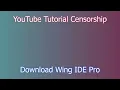 Installing Wing IDE Pro on Windows 11 Quick Setup