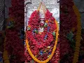 Download Lagu 🌺 Joy Maa Tara 🌺, ARATIR AGE | TARAPITH LIVE | TARAPITH OFFICIAL |TARAPITH TEMPLE | TARAPITH BIRBHUM