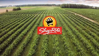 ShopRite Blueberries Farm Fresh to You ShopRite Grocery Stores