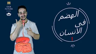الهضم فى الانسان الجزء الاول استمتع بالمذاكره مع OUR FUTURE 