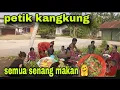 Download Lagu PETIK KANGKUNG DEPAN RUMAH LANJUT DI TUMIS SEPERTI INI//ENAK SEKALI 👍🏻