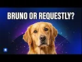 Best API client for you Bruno VS Requestly 2026