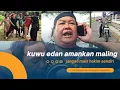 Lagu KUWU EDAN‼️Amankan maling.,hati hati jangan main hakim sendiri#viral #kuwuedan
