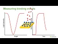 Fundamentals of Surface Plasmon Resonance SPR and High Throughput Kinetic Analysis