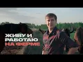 Как устроена жизнь на ферме?