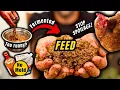 Fermented Chicken Feed Top Questions ANSWERED What Most People Get WRONG