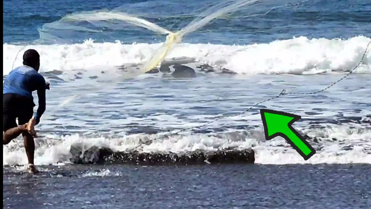 vio esto ala orilla del mar y corrió a tirarles la atarraya y miren como le fue😱😱