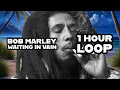 Download Lagu Bob Marley - Waiting in Vain (1 Hour Loop)