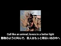 【和訳】Ellie Goulding - Ravers