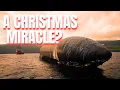 How SpaceX Lassoed Starship 40 and Towed It to Christmas Island