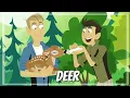 Wild kratts - Deer buckaroo