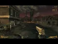 Rare Nipton Encounter