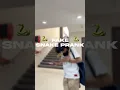 Download Lagu Chaos unlocked when the Naagin Dance got real with this fake snake prank!🐍🤣  #snake #prank #funny