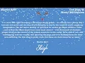 Martin Kerr - God Rest Ye Merry Billionaires (Visualizer)