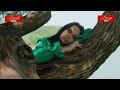 Download Lagu Davit Barqaia - Stay Gone | Music Video |