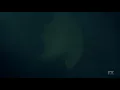 Season 8 Witches return to American Horror Story (Apocalypse) | HD | S8E03