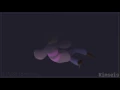 TimeLapse - Complete Undertale PMV MAP