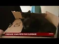 ENN Students prepare their pets for Hurricane Florence