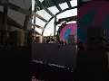 Groove Delight x Carola