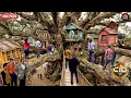 Download Lagu खुनी का गुप्त अड्डा देख CID टीम हुई हैरान! एक पेड़ बना मायाजाल | CID | Best Of CID | New Episode 2025