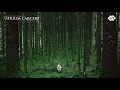 Download Lagu Songs for an empty world