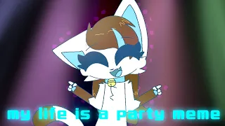 My life is a Party Meme
